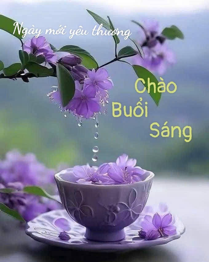 NgocMinh58